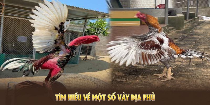 Tìm hiểu về một số vảy Địa Phủ hiện nay